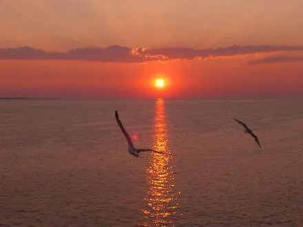 Katerina Lejlighed Limenaria (Thasos)