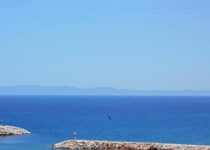 Katerina 리메나리아